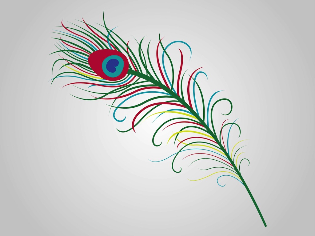 1024x767 Peacock Feather Vector Art Amp Graphics