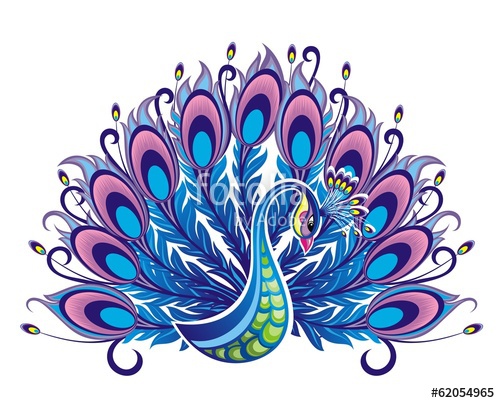 500x403 Peacock Stock Image And Royalty Free Vector Files On