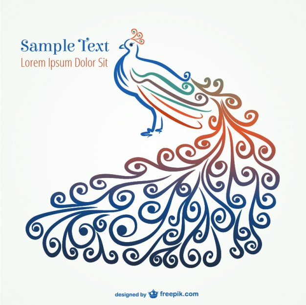 626x625 Peacock Vectors, Photos And Psd Files Free Download