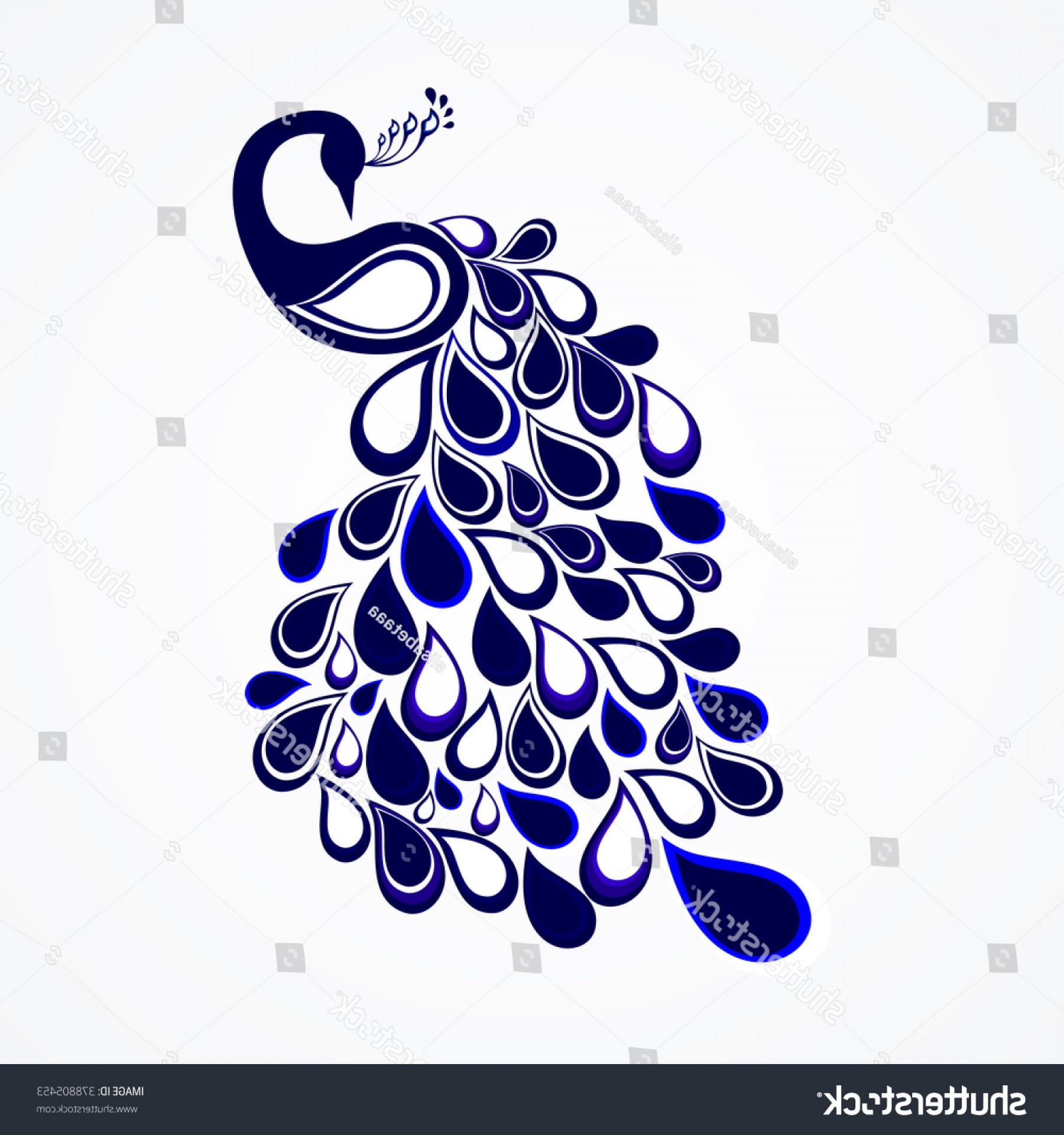 1800x1920 Fabulous Bird Peacock Vector Illustration Lazttweet