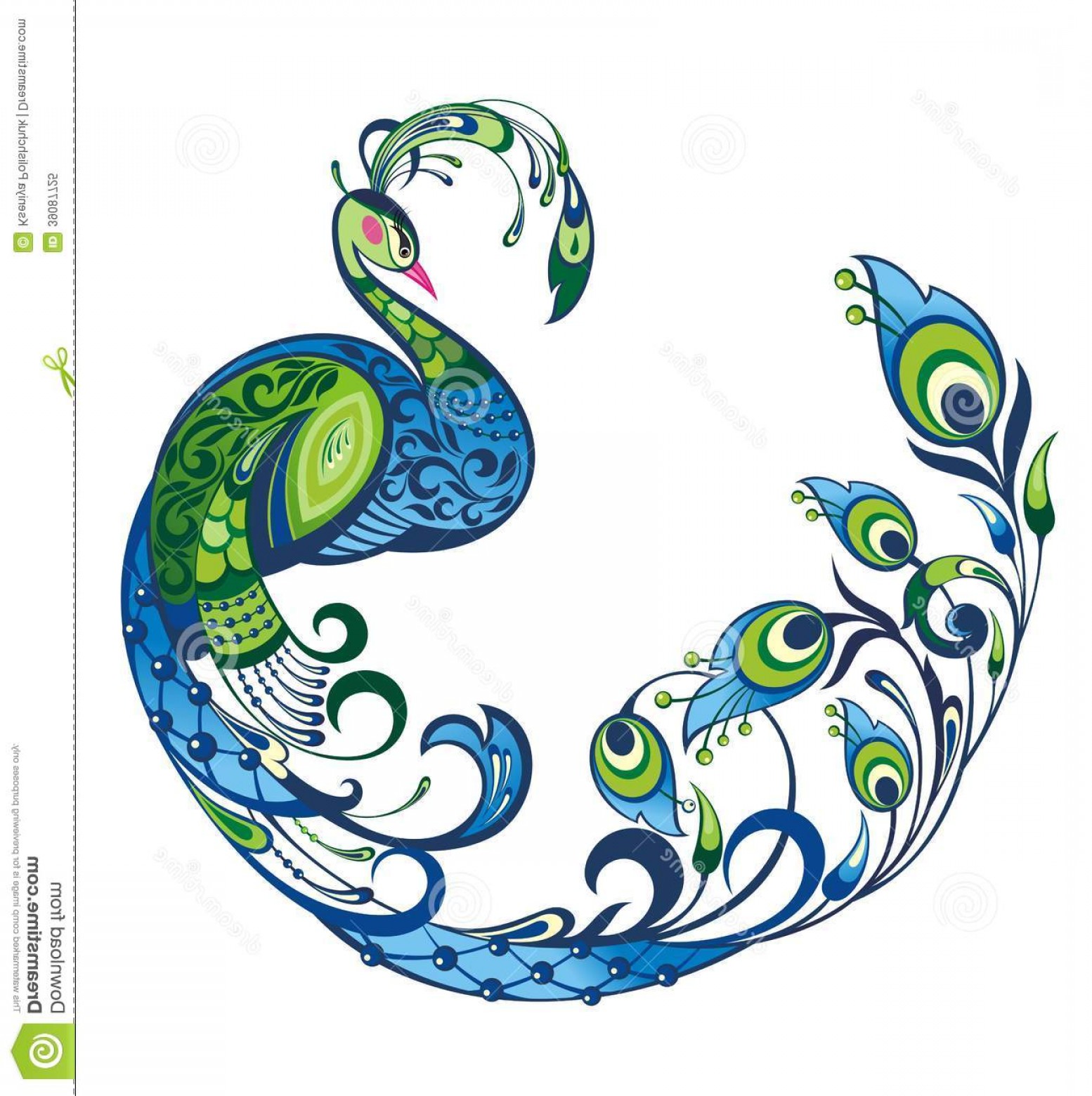 1554x1560 Royalty Free Stock Photo Peacock Vector Bird Exotic Colorful