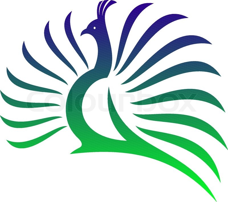 800x711 Beautiful Stylised Vector Peacock With Its Tail Feathers Opened In