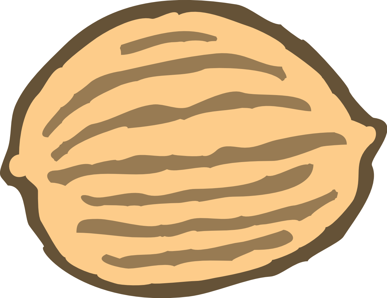 Peanut Vector
