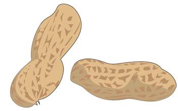 350x219 Free Peanuts 3 Psd Files, Vectors Amp Graphics