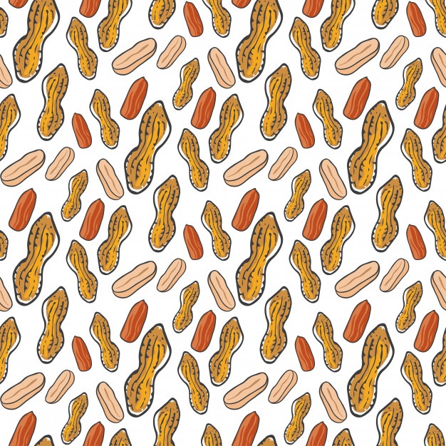 626x626 Peanuts Vector Vectors, Photos And Psd Files Free Download