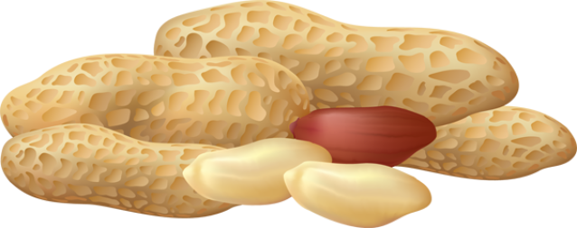 638x253 Peanuts Vector Free Download On Kathleenhalme