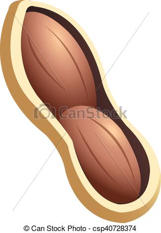 325x470 Open Shell Peanut.