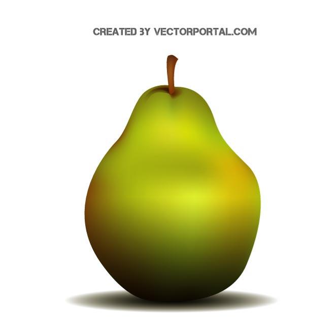 660x660 Pear Vector Image