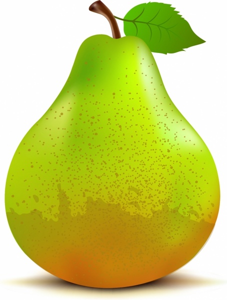 454x600 Pear Free Vector In Adobe Illustrator Ai ( .ai ), Encapsulated