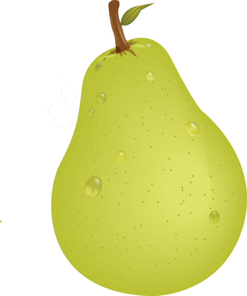 817x978 Pear Vector Png Png Mart
