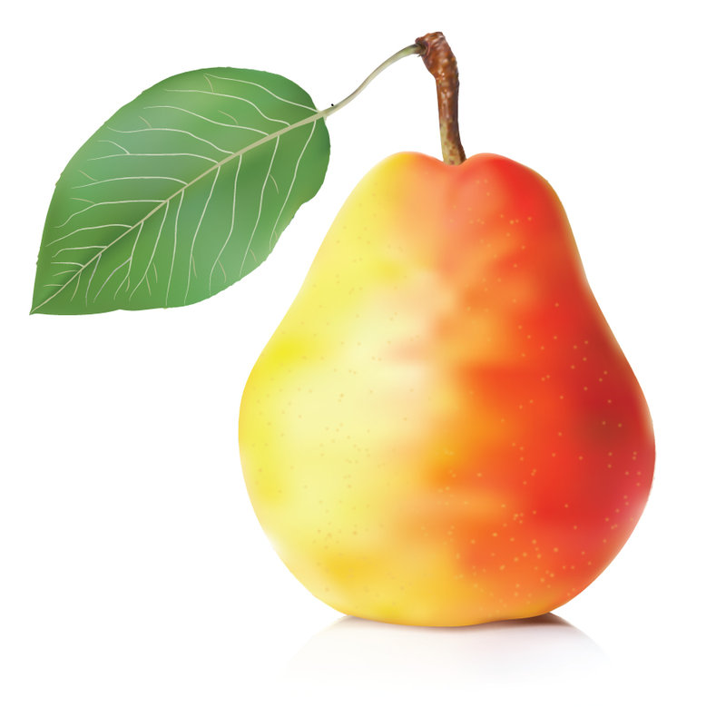 800x779 Pear Vector By Costeacc