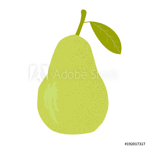 500x500 Pear Vector Illustration