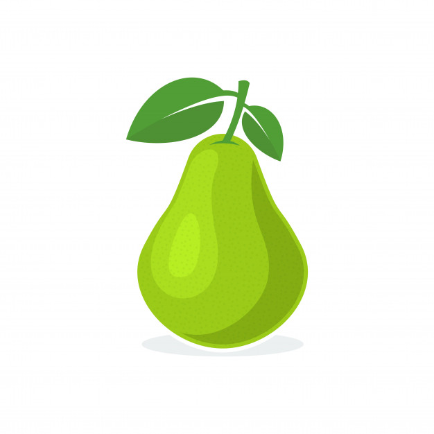 626x626 Pear Vector Illustration Vector Premium Download