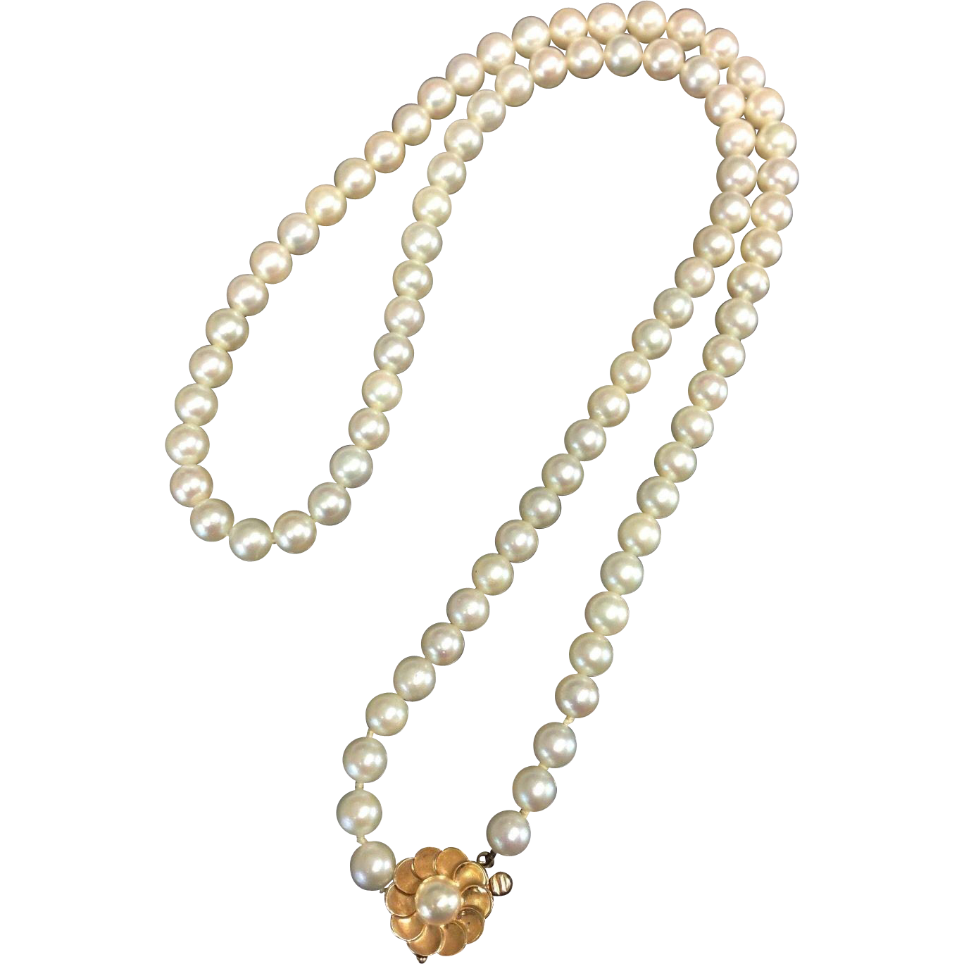 1369x1369 Collection Of Free Pearls Vector Pearl Necklace. Download On Ubisafe