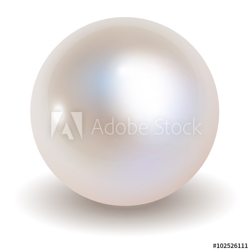 500x500 Pearl Vector On White Background.