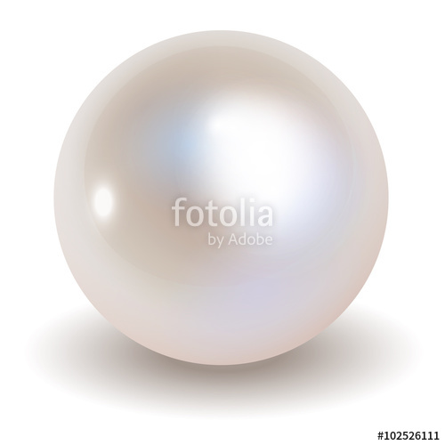 500x500 Pearl Vector On White Background. Stock Image And Royalty Free
