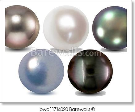437x364 Art Print Of Set Of Colorful Pearl. Vector Barewalls Posters