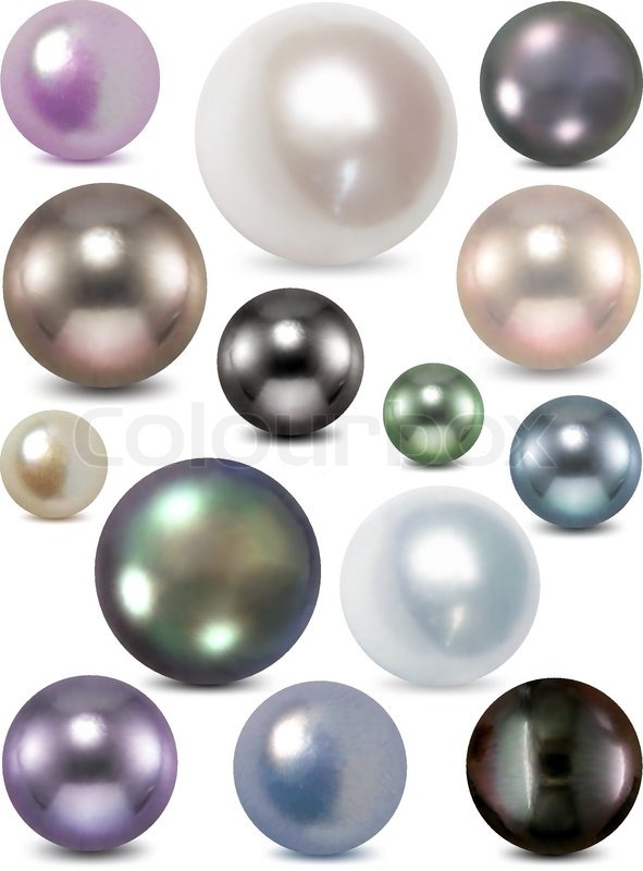 591x800 Set Of Color Pearl Vector Stock Vector Colourbox