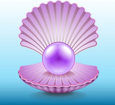 406x368 Vector Pearl Shell Free Vector Download (313 Free Vector) For