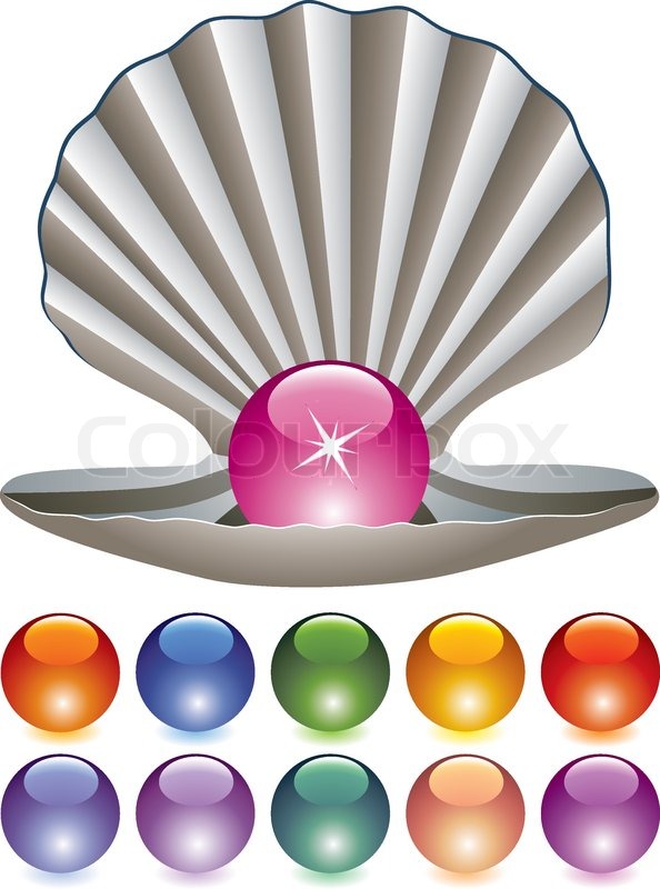 594x800 Vector Set Of Pearls And A Shell Stock Vector Colourbox