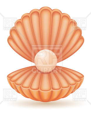 311x400 Opened Seashell (Scallop) With Pearl Vector Image Vector Artwork