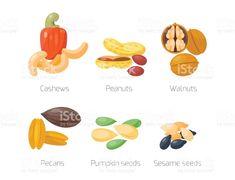 235x180 Image Result For Pecan Vector Pie Day Pecans