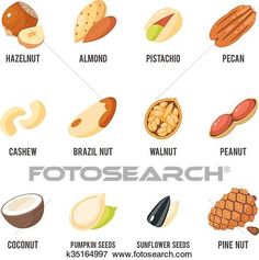 236x237 Image Result For Pecans Vector Pie Day