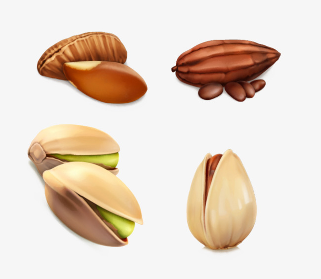 650x565 Pecan And Pistachio, Pistachio, Pecans, Vector Png And Vector For