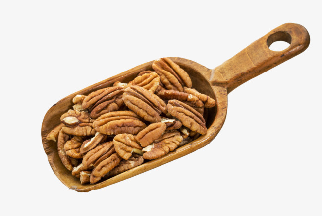 650x435 Pecan Nuts, Nutlet, Pecans, Vector Png And Vector For Free Download