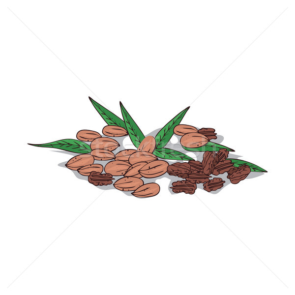 600x600 Pecan Stock Vectors, Illustrations And Cliparts Stockfresh