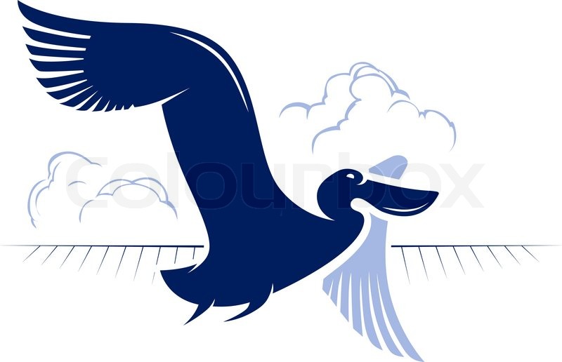 800x516 Flight Bird Logotype. Duck Or Pelican Stock Vector Colourbox