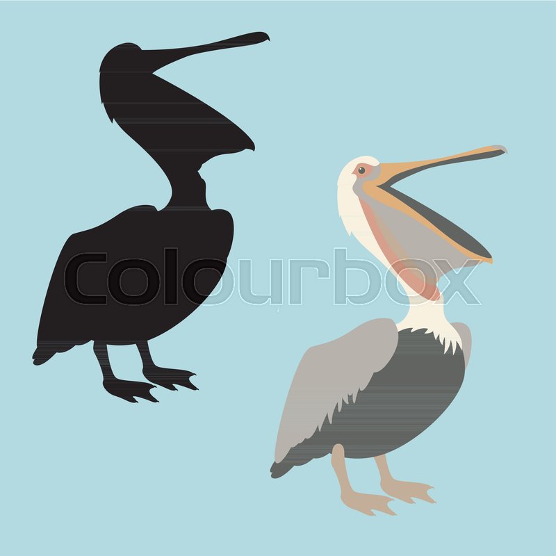 800x800 Pelican Vector Illustration Flat Style Black Silhouette Profile
