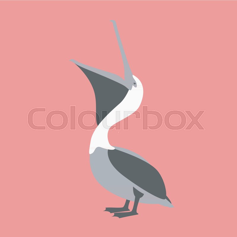 800x800 Pelican Vector Illustration Flat Style Profile Side Stock Vector