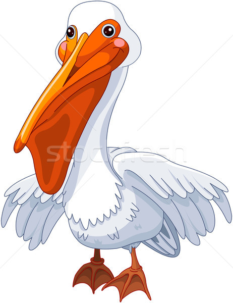462x600 Pelican Vector Illustration Anna Velichkovsky (Dazdraperma