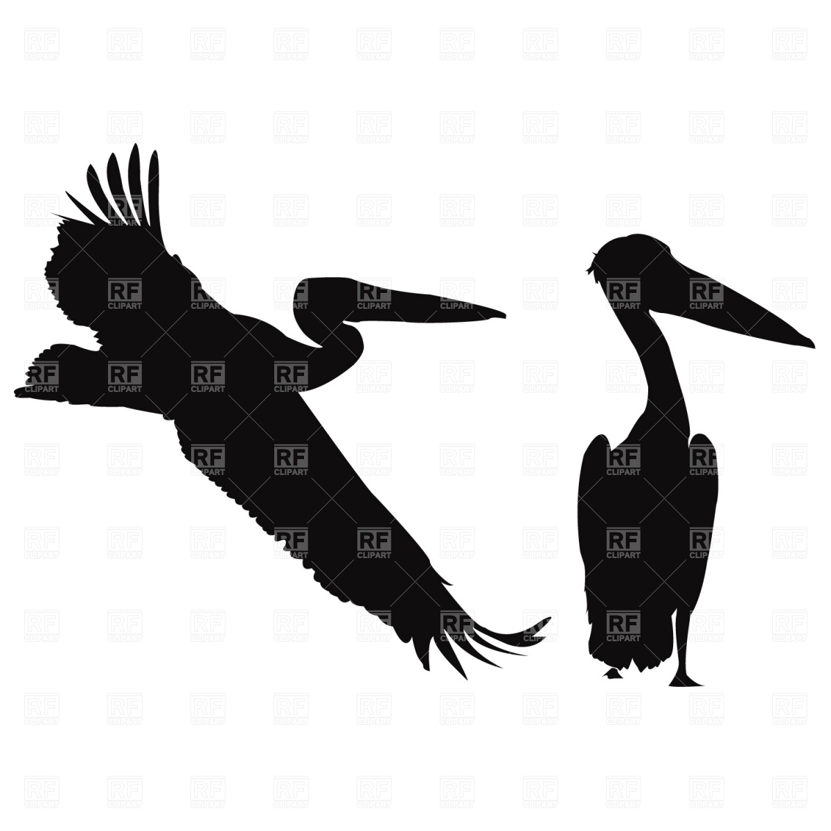 1200x1200 Silhouette Of Pelican Standing On The Grass Vector Image Vector