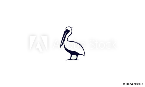500x300 Pelican Vector