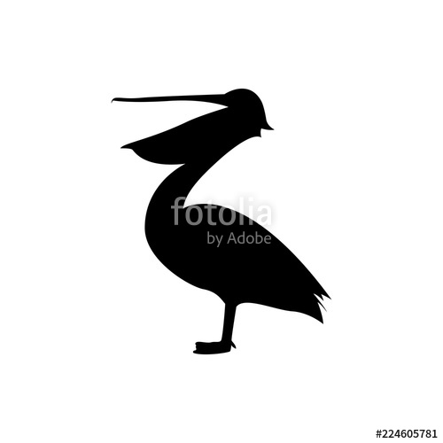 500x500 Pelican Vector Silhouette Stock Image And Royalty Free Vector