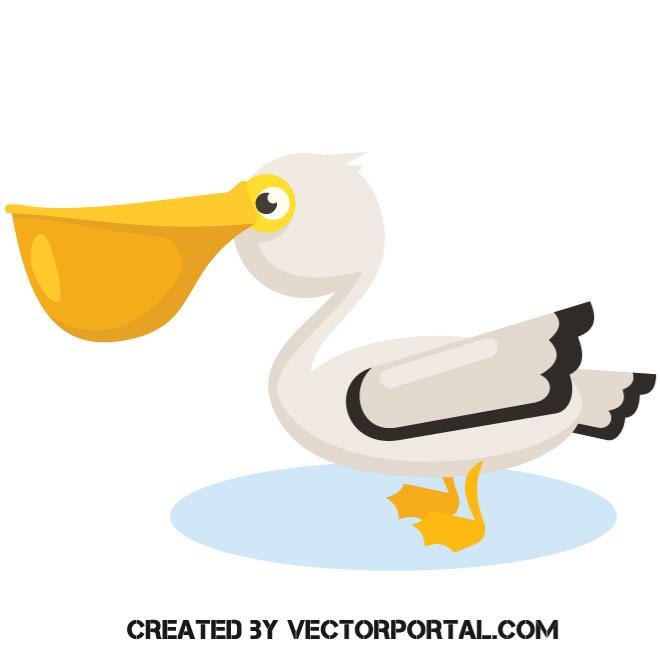 660x660 Cute Pelican Vector Image