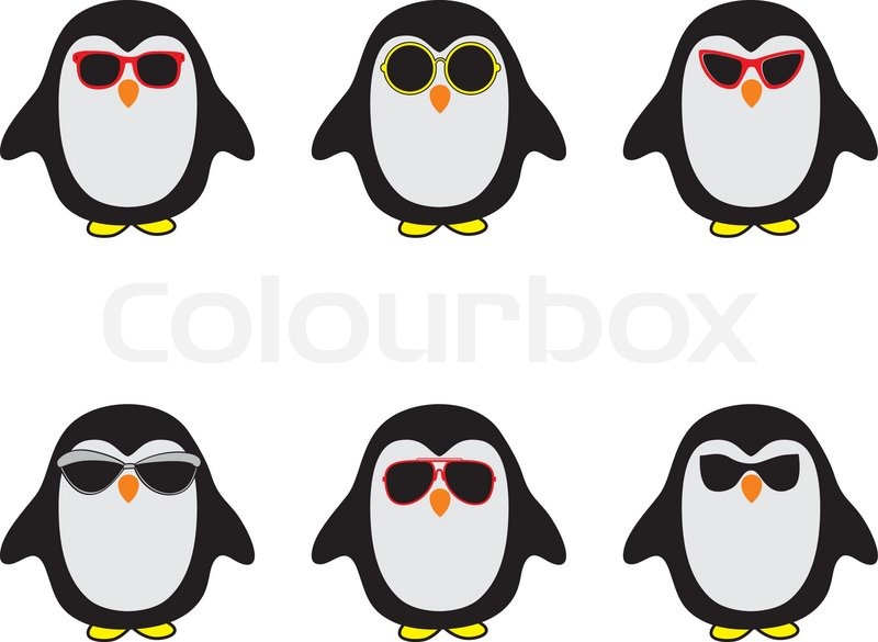 800x585 Penguin Vector Illustration Stock Vector Colourbox