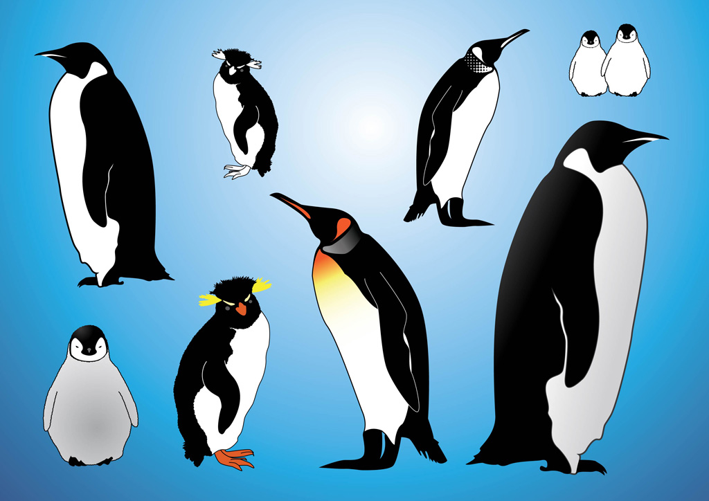 1024x724 Penguins Vectors Vector Art Amp Graphics