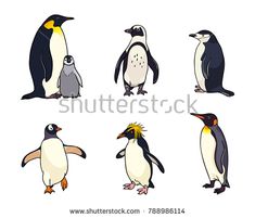 235x201 Standing Penguin Set Vector Illustration. Penguin