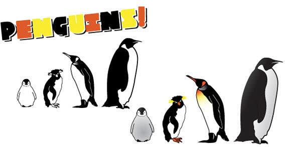 568x294 Penguin Free Vectors 123freevectors
