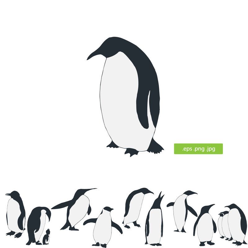 800x800 Penguin Vector Silhouette By Silhouettes Clipart Silhouettes