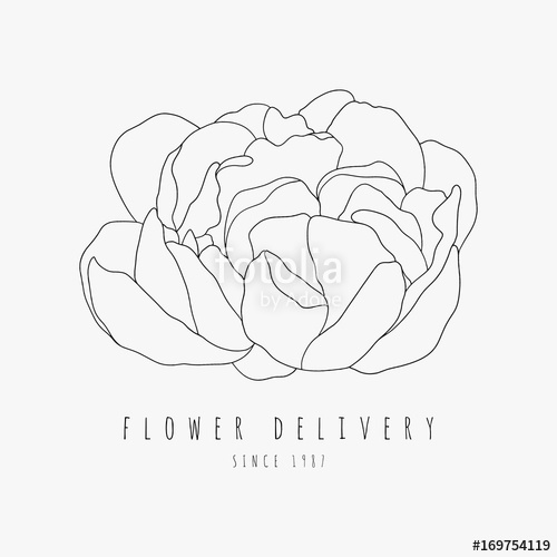 500x500 Hand Drawn Peony Logo. Flower Delivery Service Concept. Vector