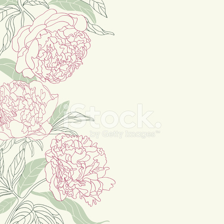 440x440 Peony Flowers Vector Stock Vector