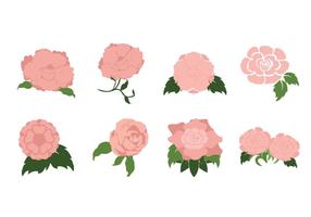 286x200 Peony Free Vector Art