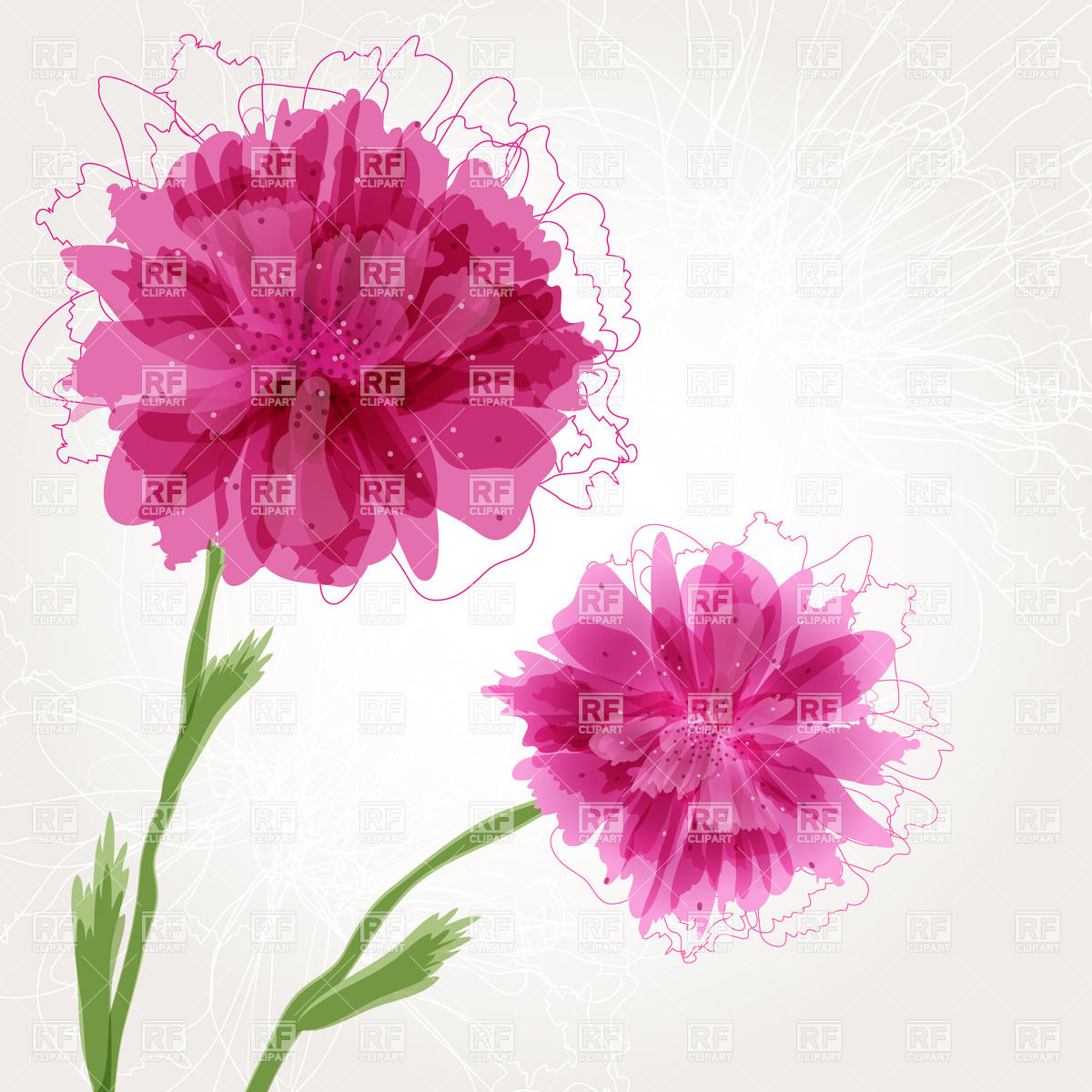 1200x1200 Peony Flower With Pink Buds Vector Image Vector Artwork Of