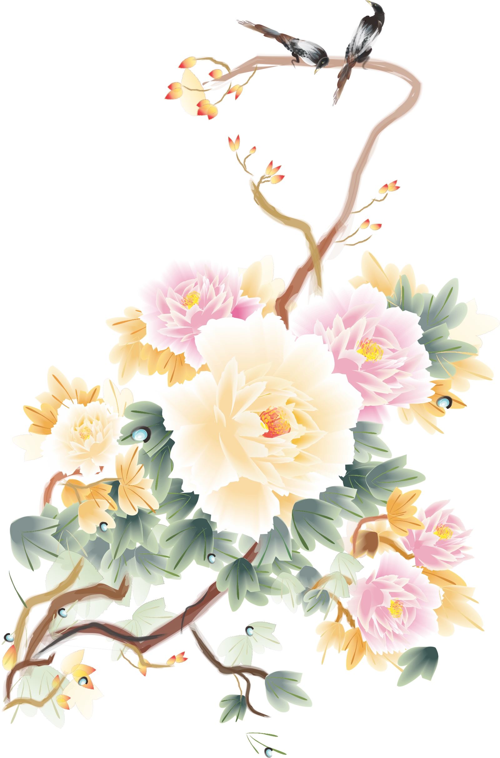 1600x2426 Peony Flowers Vector Pictures China Coreldraw Vectors Cdr Free
