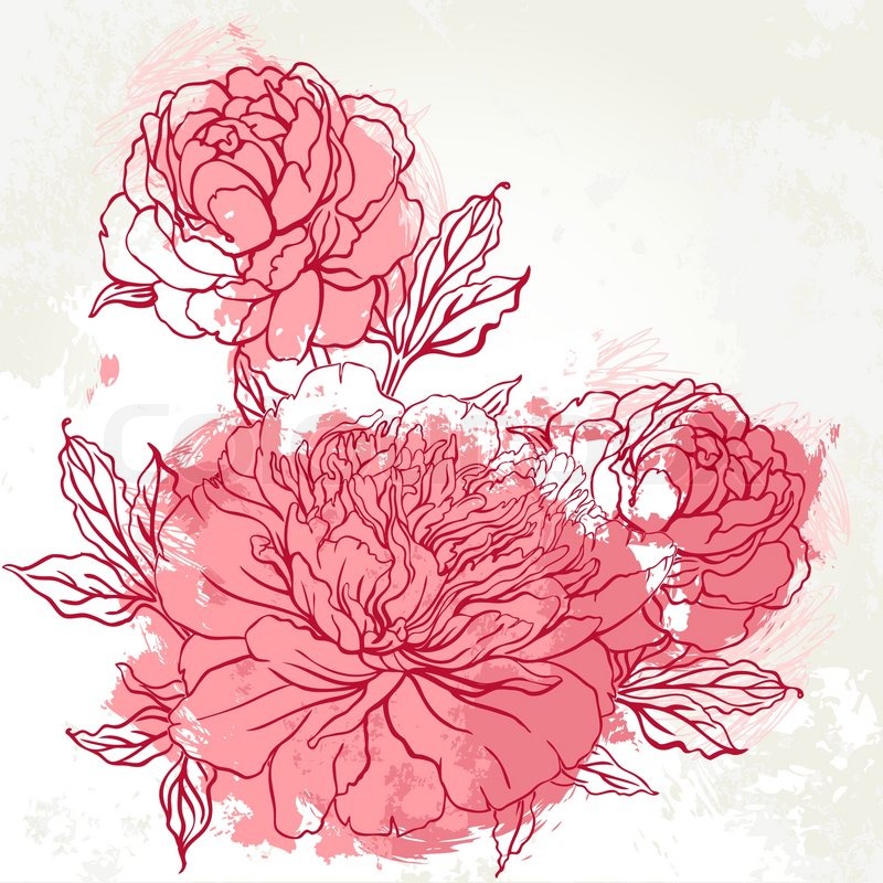 800x800 Beautiful Peony Bouquet Design On Beige Background. Hand Drawn