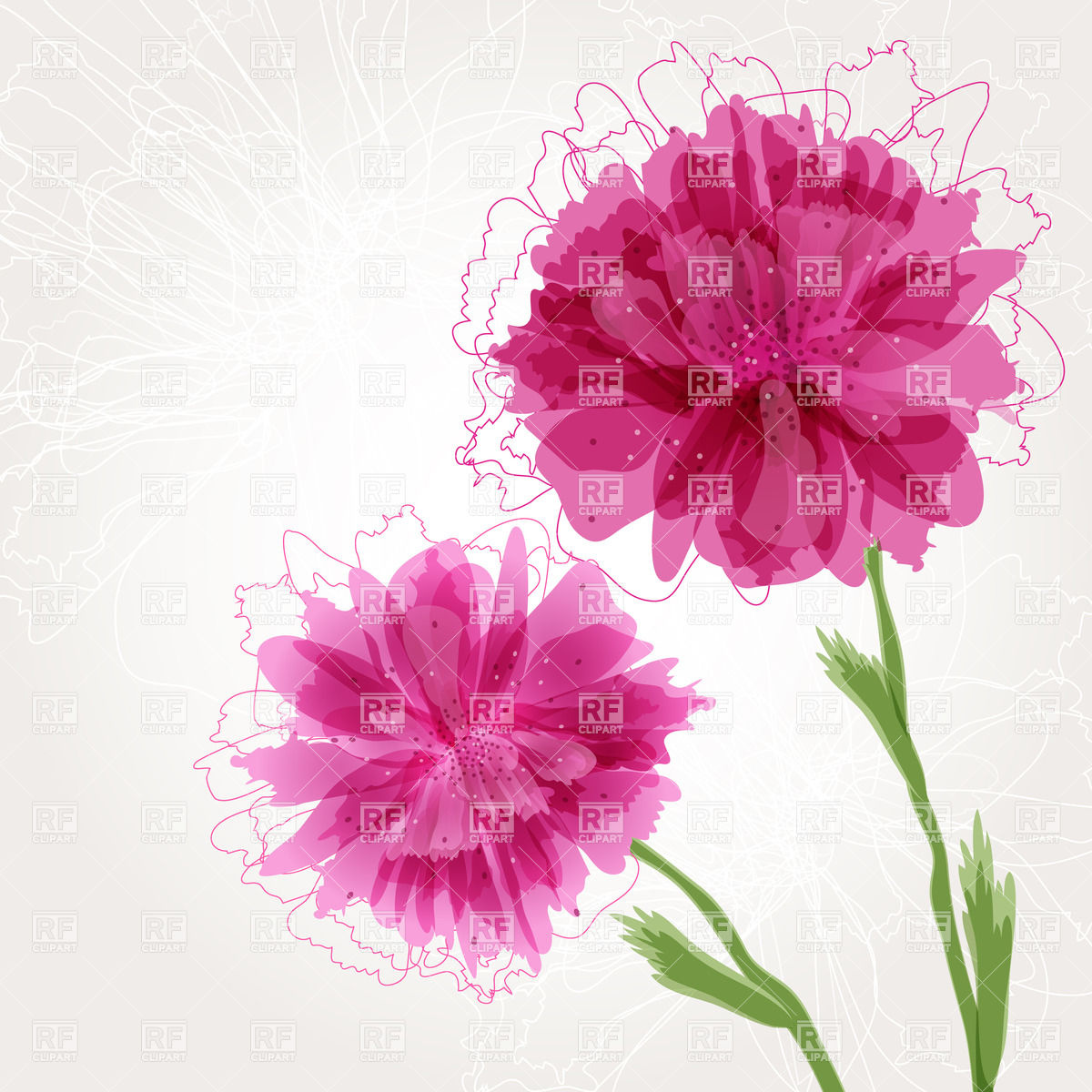 1200x1200 Tho Hand Drawn Realistic Peony Flowers Vector Image Vector